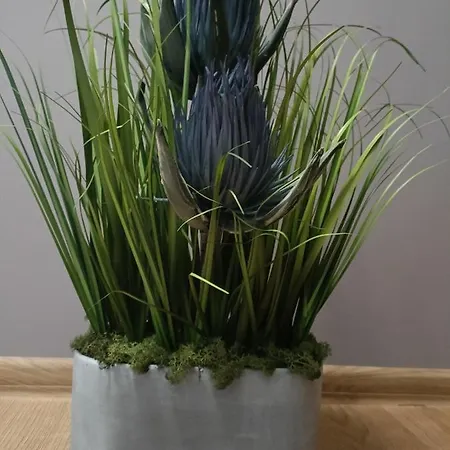 Morska Lawenda شقة سفينويتشي