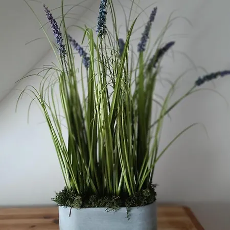 شقة Morska Lawenda سفينويتشي